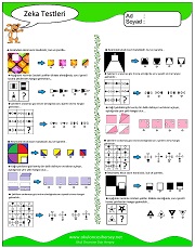 Zeka Gelişim Testleri